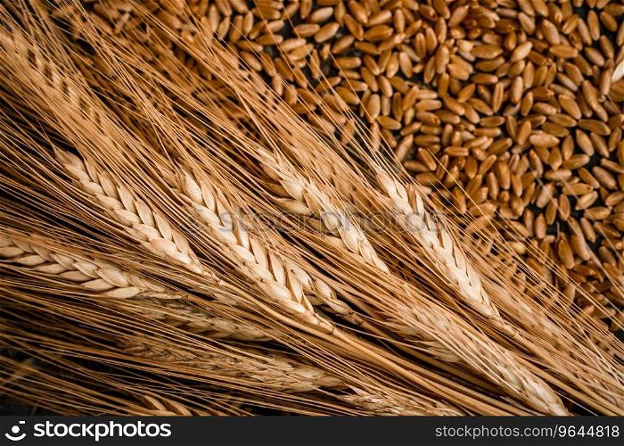 Ears of wheat and grains on wooden background