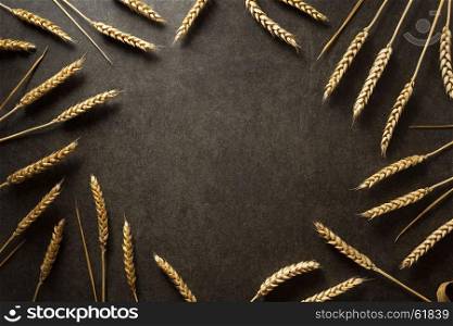 ears of wheat on black background texture