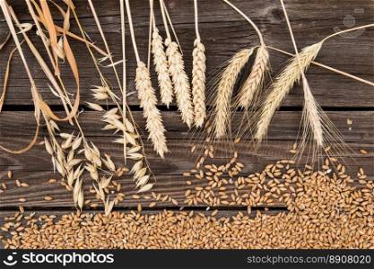 Ears of wheat on old wooden table