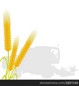 Ears of wheat on the background of the combine harvester. The illustration on a white background.