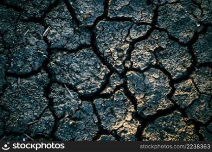 Earth cracks or stone. Clay lines cracking. Bare tree branches Crack soil on dry season, Global worming effect.. Dry soil and cracked earth background texture