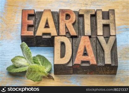 earth day - word abstract in vintage letterpress wood type with a green peppermint leaf