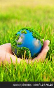 Earth in Hands ,Concept Save green planet.