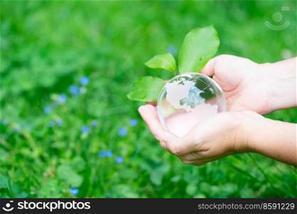 earth protection and sustainable ecology development concept - hands holding planet earth with sprout. earth protection and sustainable ecology development
