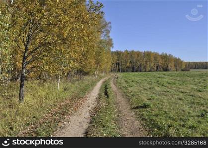 Earth road between birch forest and meadow in autumn