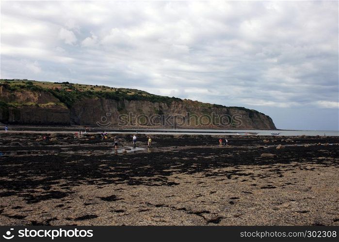 East Coast England Sea Cliffs with beach