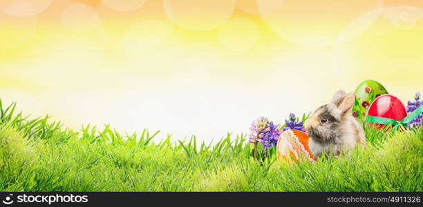 Easter background with bunny, eggs and flowers on grass and sunny sky with bokeh, banner for website