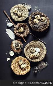 Easter background with eggs and nests