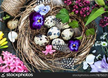 Easter background with eggs, nest and flowers