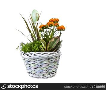 Easter basket with flowers and single egg on pure white background