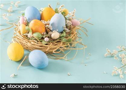Easter blue and yellow eggs in small nest and flowers on blue background