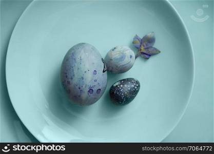 easter blue eggs on a blue plate. eggs on a plate