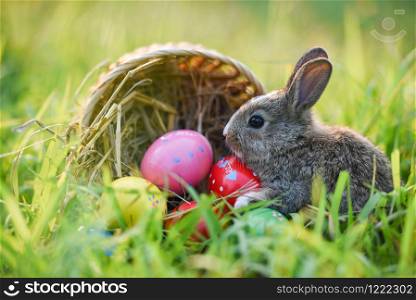 Easter bunny basket with brown rabbit and easter eggs colorful on meadow on spring green grass background outdoor decorated for festival easter day / rabbit cute on nature