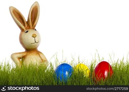 easter bunny behind grass with easter eggs. easter bunny behind grass with easter eggs on white background