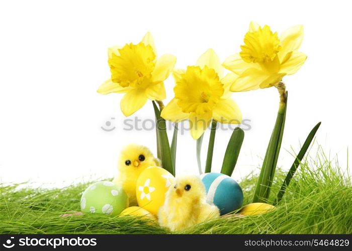 Easter card with eggs and chickens on green grass with white copy space