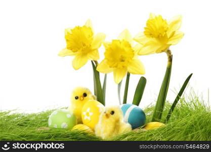 Easter card with eggs and chickens on green grass with white copy space