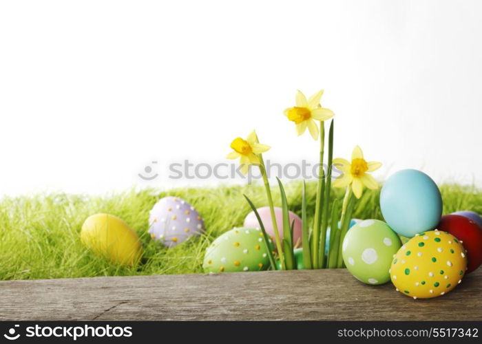 Easter card with eggs and daffodils over spring grass background