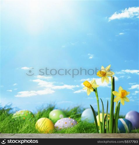 Easter card with eggs and daffodils over spring grass background