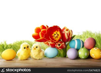Easter card with little chick, colorful painted eggs and tulips isolated on white