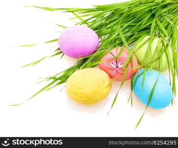 Easter colorful eggs with grass isolated on white background