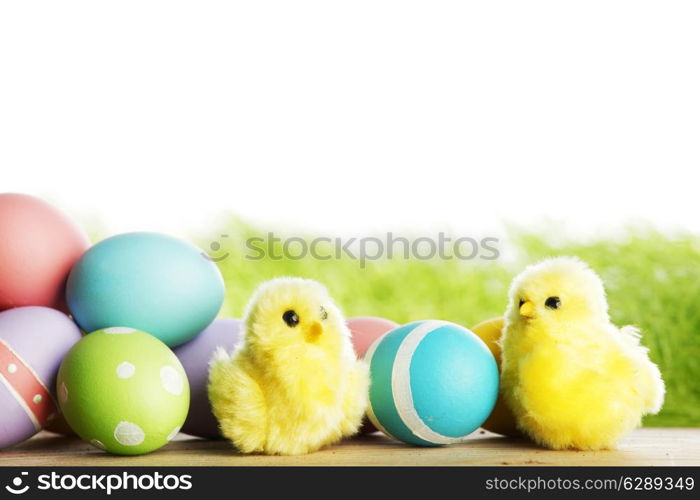 Easter composition with eggs and chicks on green meadow