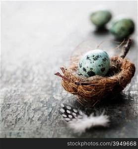 Easter composition with eggs and nest on rustic wooden background