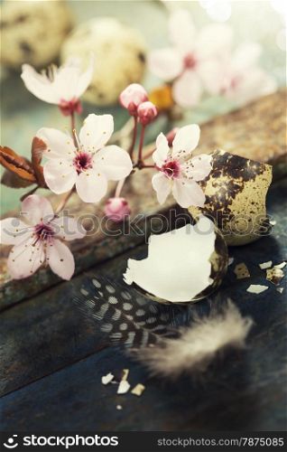 Easter composition with quail eggs and Cherry Blossom branches