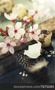 Easter composition with quail eggs and Cherry Blossom branches