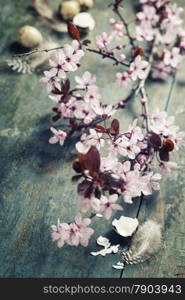 Easter composition with quail eggs and Cherry Blossom branches