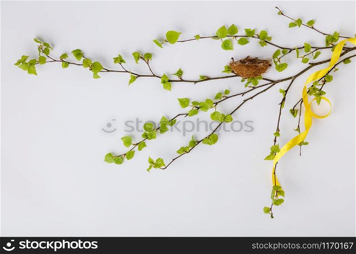 Easter composition with spring branches on white backgrount, flat lay, top view