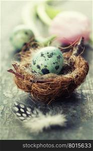 Easter composition with tulips, eggs and nest on vintage wooden background