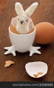 Easter decoration concept - woolen bunny hatching from a chicken egg