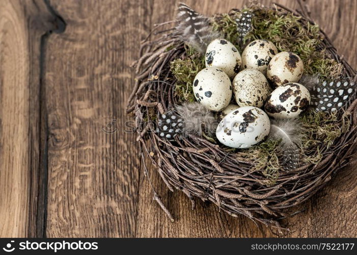 Easter decoration. Quail eggs in nest on rustic wooden background