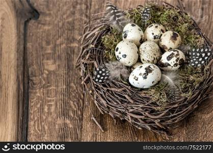 Easter decoration. Quail eggs in nest on rustic wooden background