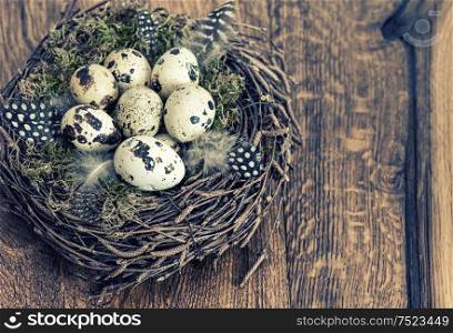 Easter decoration. Quail eggs in nest. Vintage style toned picture
