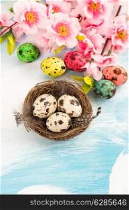 Easter decoration with flowers and eggs in nest. Handmade colored quail eggs