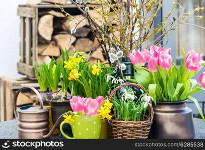 easter decoration with spring flowers. tulips, snowdrops and narcissus blooms. seasonal home interior