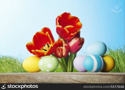 Easter decoration with tulips and colored eggs