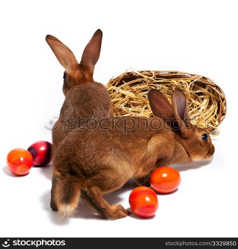 Easter; Easter bunnies with easter eggs and basket