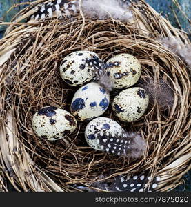 Easter egg nest on rustic wooden background