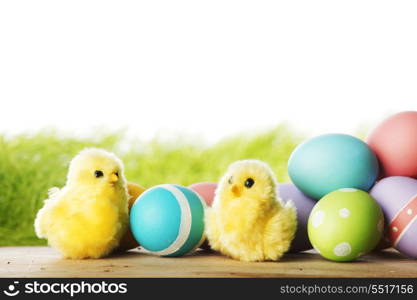 Easter eggs and chickens on green grass isolated on white