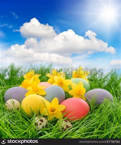 easter eggs and daffodils flowers in grass over sunny blue sky