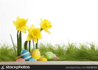 Easter eggs and daffodils isolated on white background