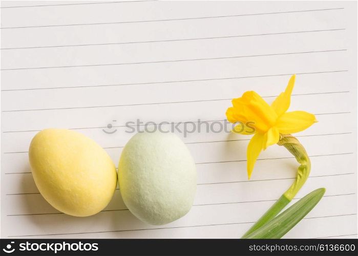 Easter eggs and daffodils on linear paper