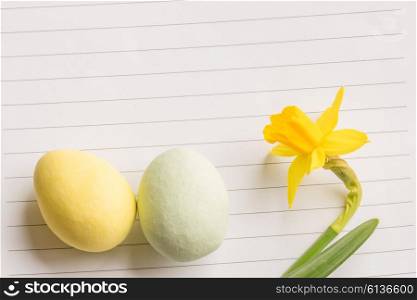 Easter eggs and daffodils on linear paper