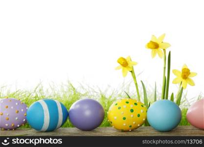 Easter eggs and narcissus flowers isolated on white background