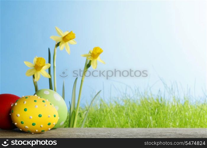 Easter eggs and narcissus flowers on blue background