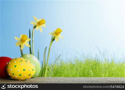Easter eggs and narcissus flowers on blue background