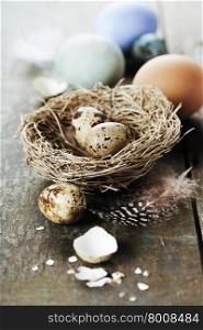 Easter eggs and nest on wooden background - Easter composition