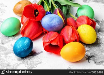 Easter eggs and tulips. Easter colored eggs and bunch of spring tulips